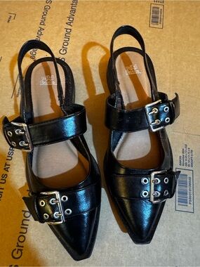 wild fable Black Pointed Buckle Slingback Flats with Double Straps
